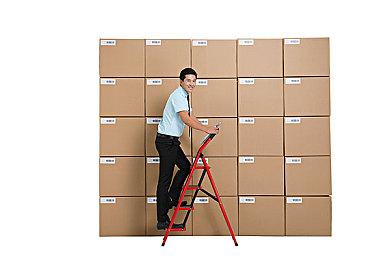 《Rugby 25》Steam页面上线 国区售价233元